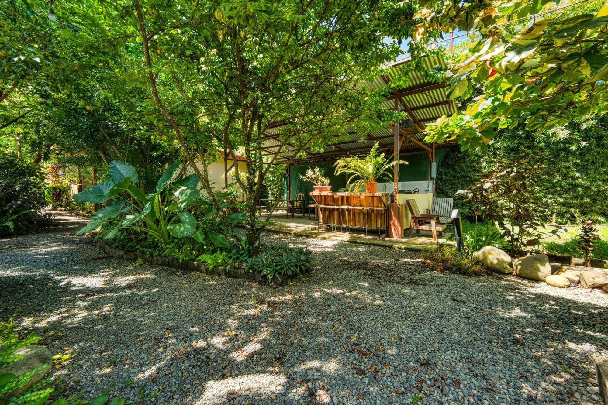 Bamboo River House And Hotel ドミニカル エクステリア 写真