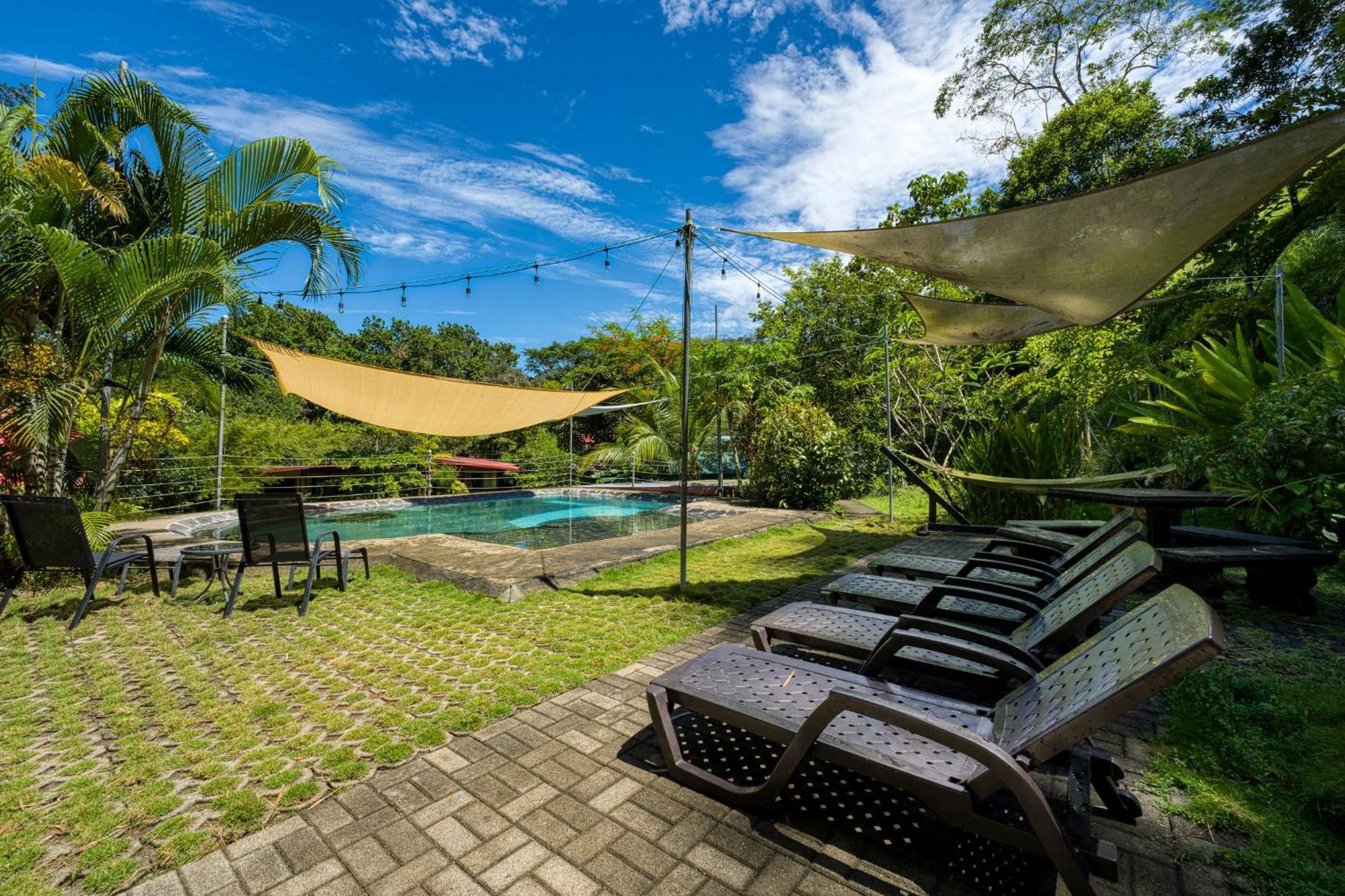 Bamboo River House And Hotel ドミニカル エクステリア 写真