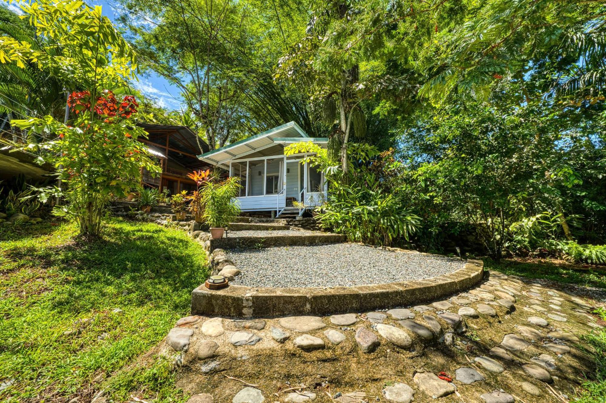 Bamboo River House And Hotel ドミニカル エクステリア 写真