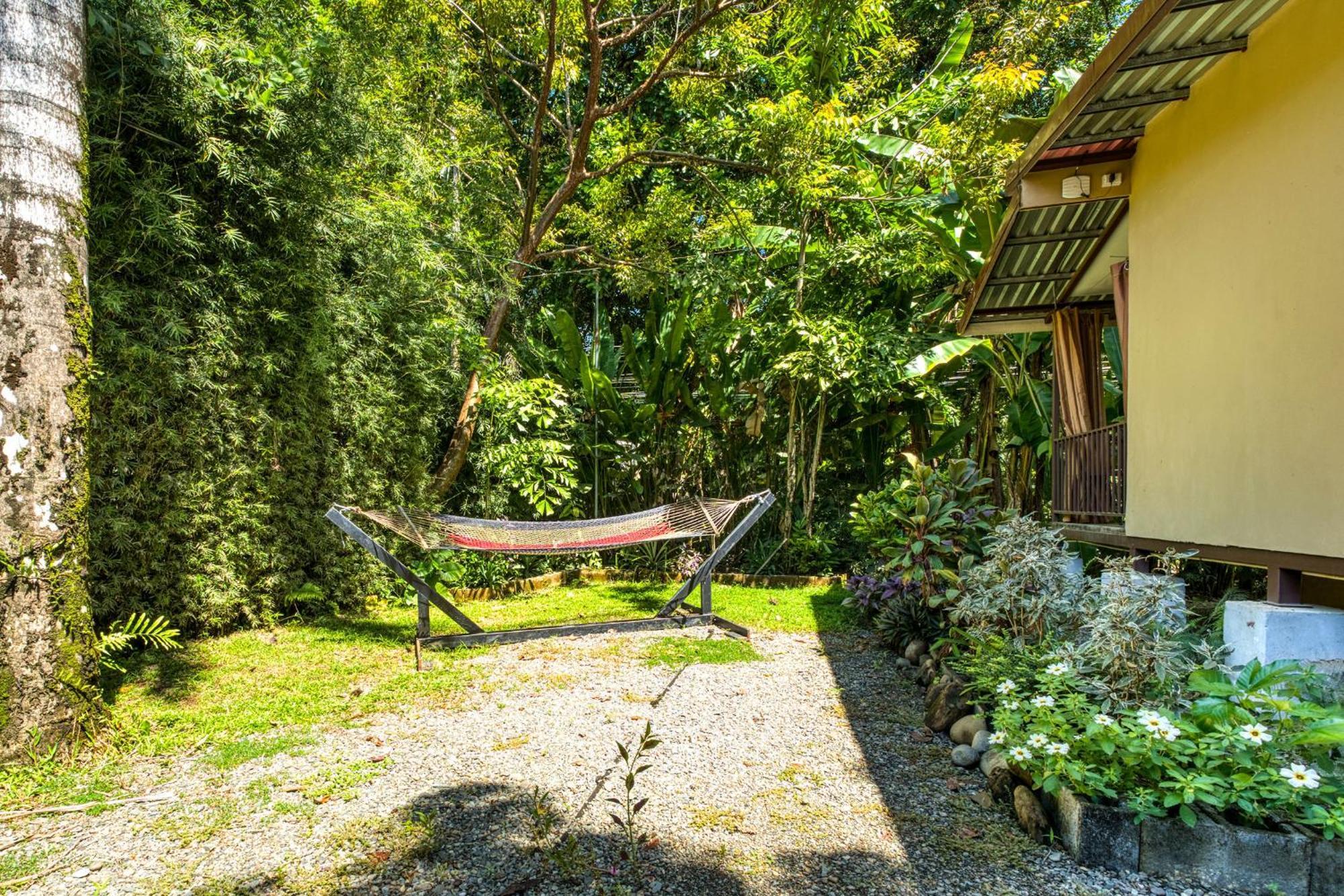 Bamboo River House And Hotel ドミニカル エクステリア 写真