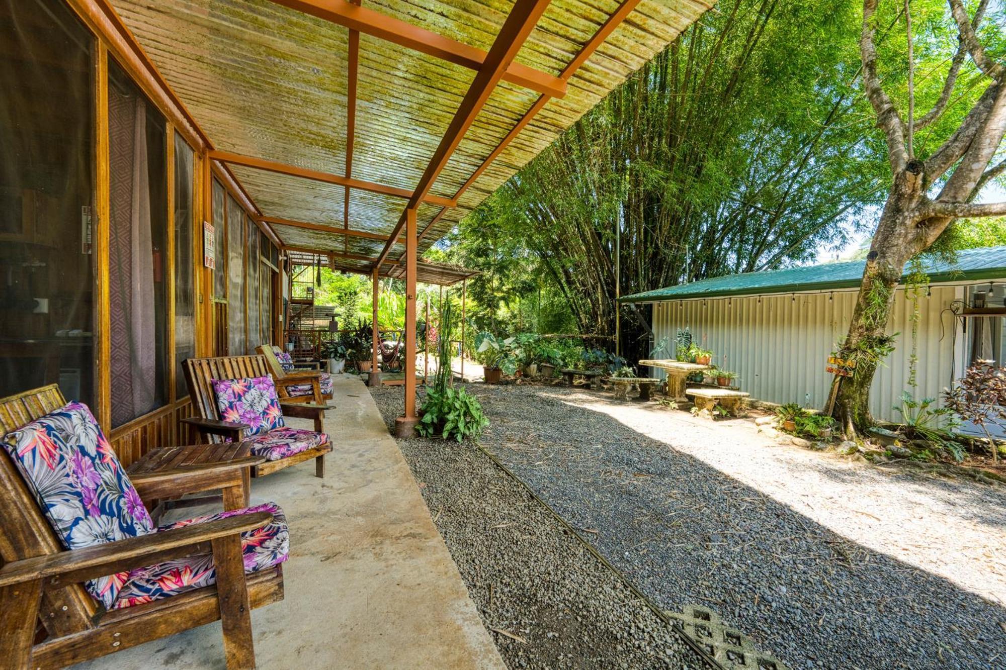 Bamboo River House And Hotel ドミニカル エクステリア 写真