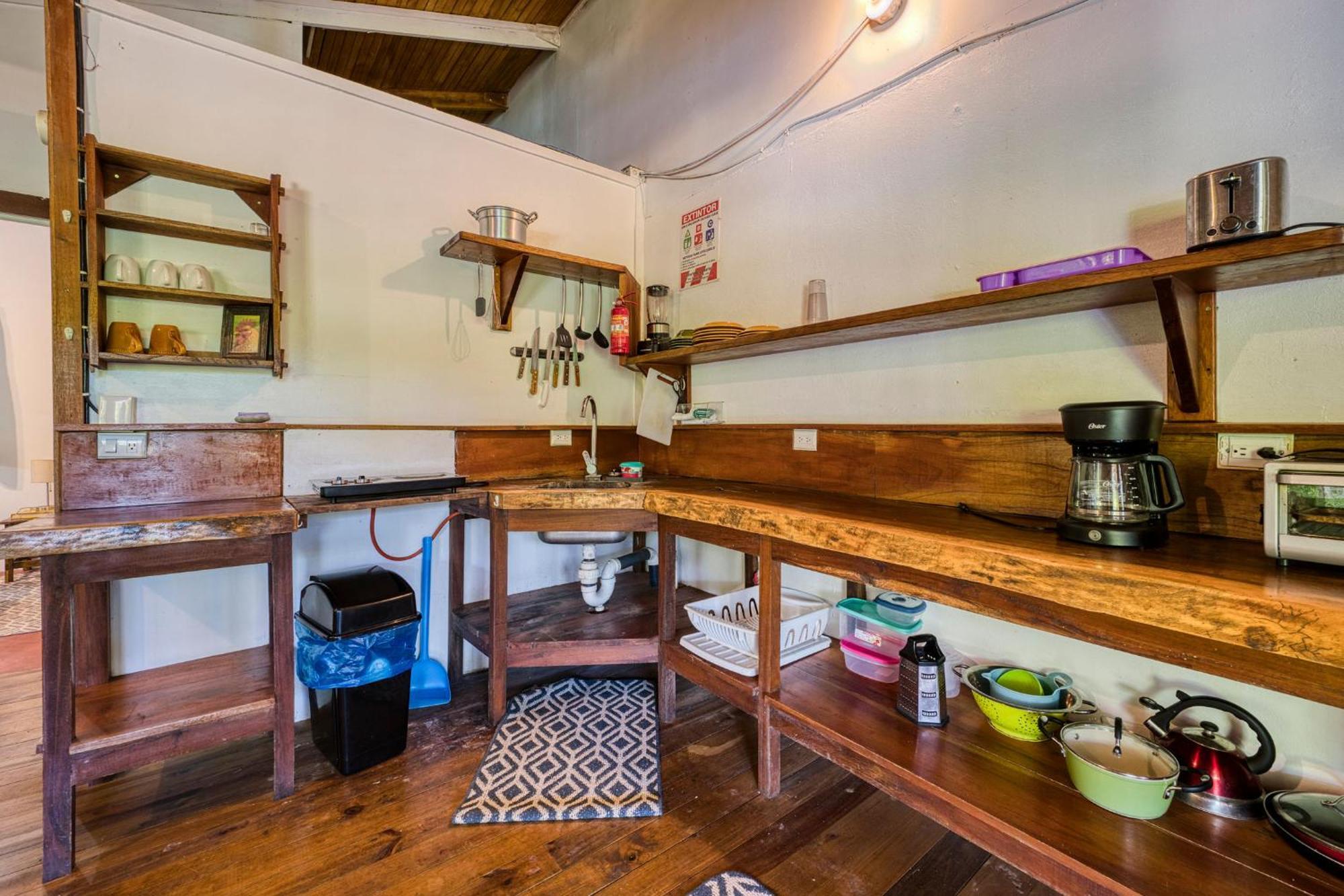 Bamboo River House And Hotel ドミニカル エクステリア 写真